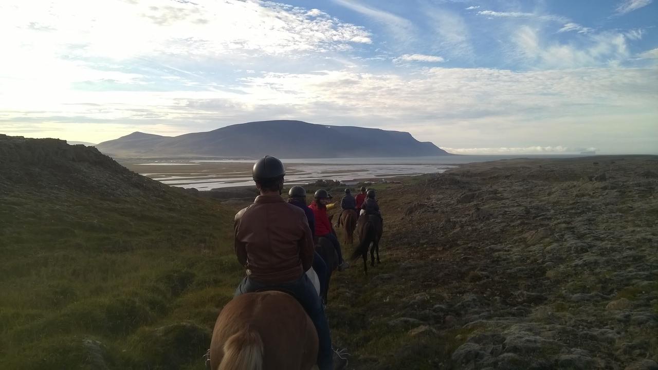 Icelandhorsetours - Helluland Saudarkrokur Exterior foto